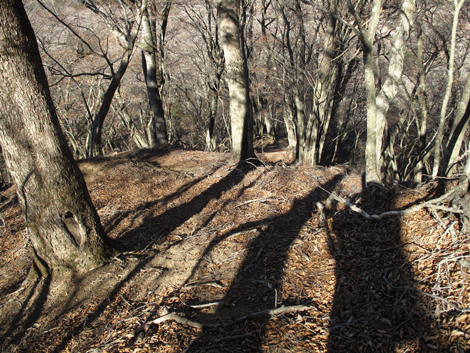 20190121hike (174)